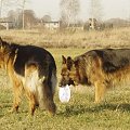 Tobi i Parys
