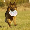 Tobi
