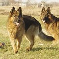 Tobi i Parys