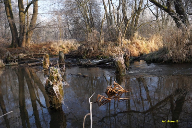 świętokrzyskie