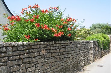 Ulica w miasteczku, milin na ogrodzeniu L'Ile #aux #Moines #milin