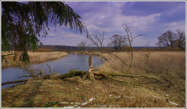 Rzeka Drwęca.