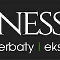 Logo konesso jeszcze mniejsze
