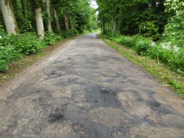 Odcinek Lidzbark Warmiński-Górowo Iławeckie. Odcinek ,,asfaltu MTB''