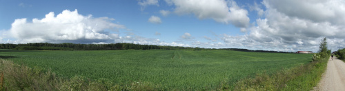 Odcinek Górowo Iławeckie-Pieniężno-Pakosze. Warmińska panorama z Fishem na szutrze