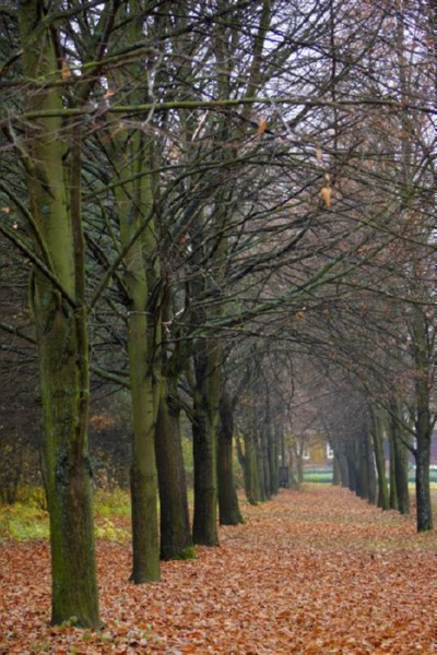 Tokarnia - Skansen