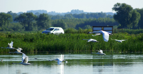 świętokrzyskie