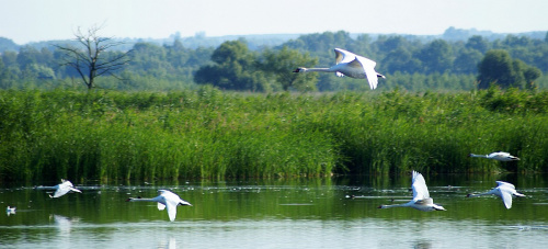 świętokrzyskie