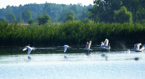 świętokrzyskie