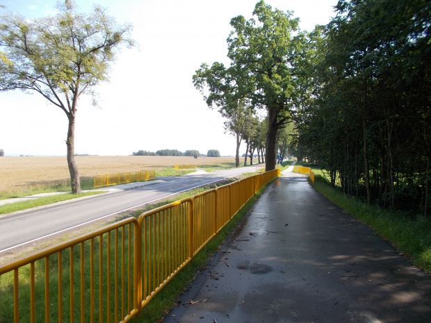 Nowa droga rowerowa wzdłuż DW 527 na odcinku Rychliki-Kwietniewo. ,,Płotkoza'' obowiązkowa :-)
