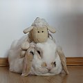 Owieczka potrafi wejśc na głowę takiemu twardzielowi jak Lolek..