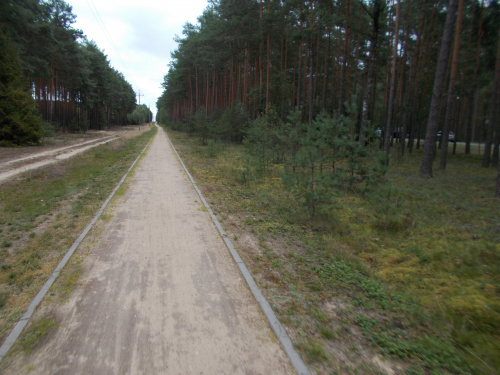 Szlak żółty KM na odcinku Rytel-Czersk