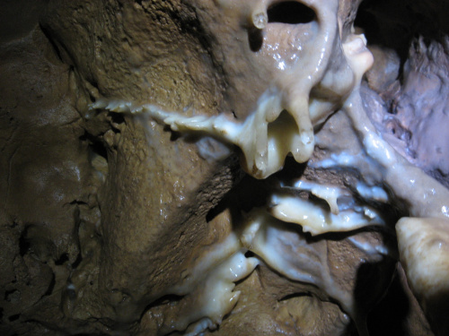 Młode stalaktyty - kilka tysięcy lat ?