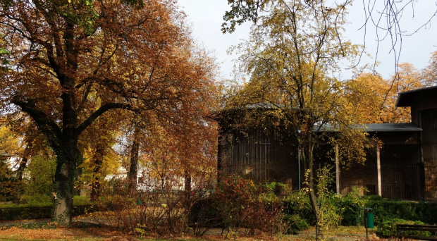 Stare Zoo Poznań